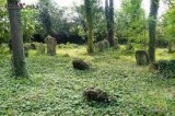 Židovský_hřbitov